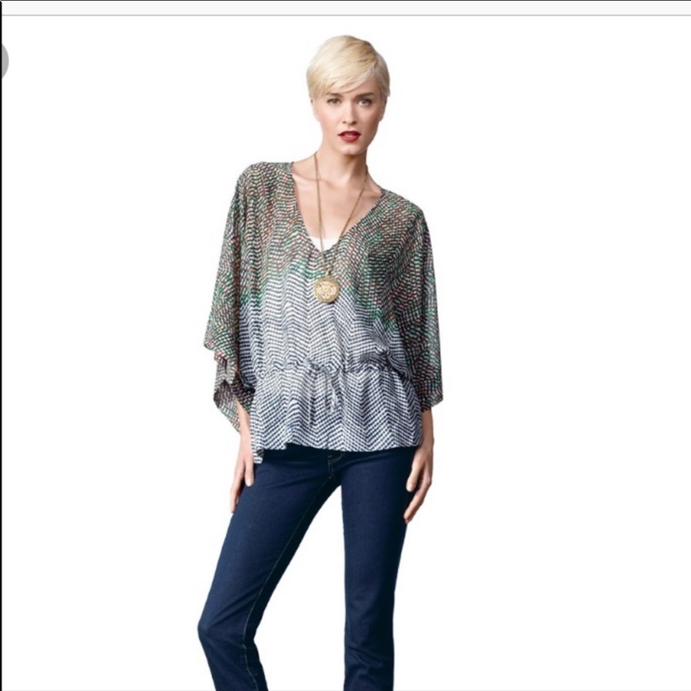 CAbi Arts Tunic Size Small Style #731